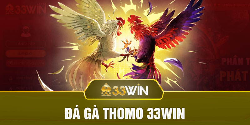 Đá gà Thomo 33WIN